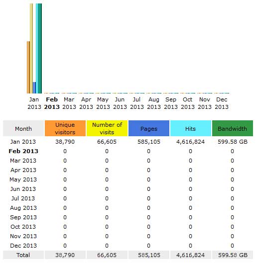 CompetitionX Site Statistics – January 2013