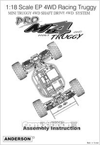 Anderson Racing MB4 Pro Truggy Manual